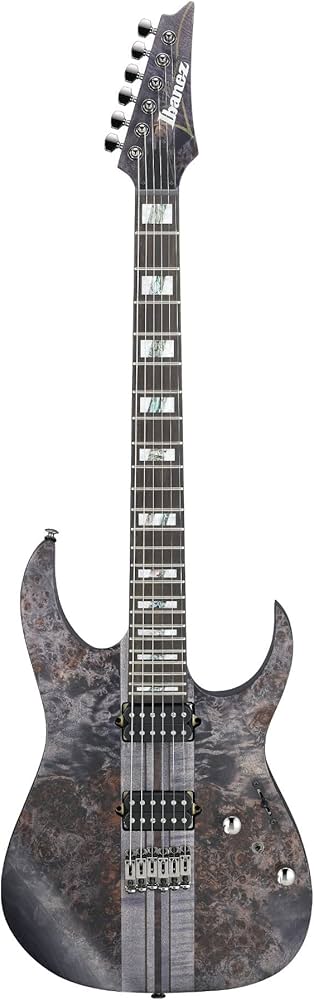 Amazon.com: Ibanez Premium RGT1221PB Electric Guitar - Deep