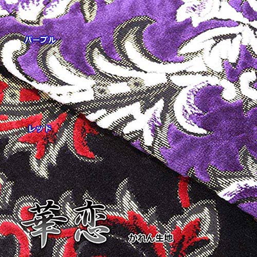 Amazon | 金華山 華恋 ピラーカバー レッド ふそう 07スーパーグレート