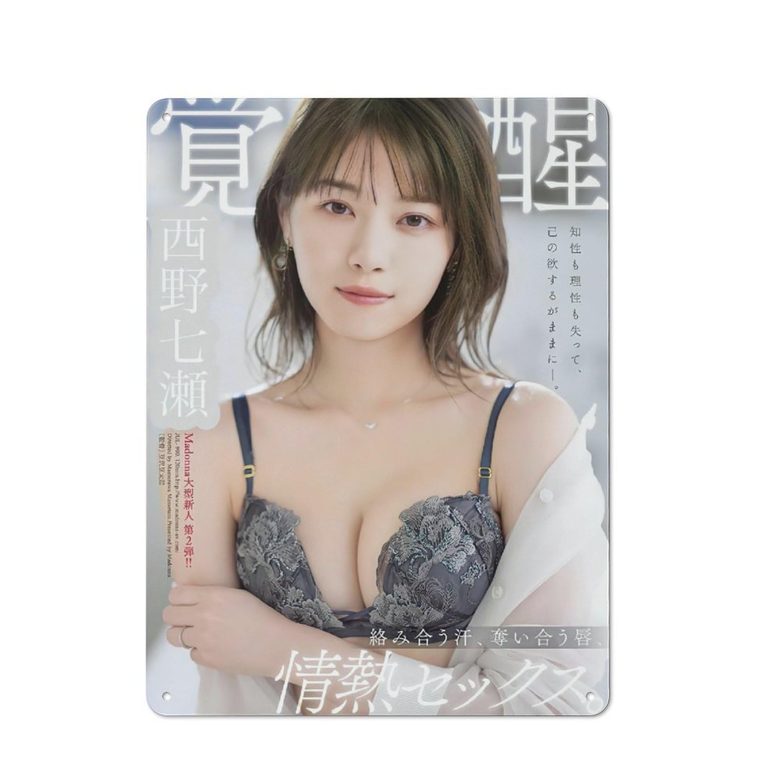 Amazon.co.jp: 西野七瀬ブリキの絵 ブリキ看板 メタルブリキ看板 金属