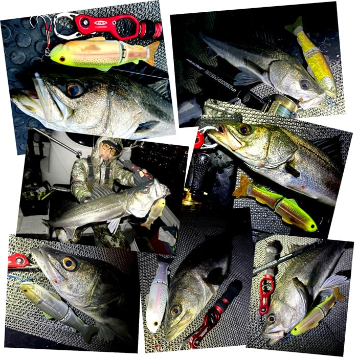 Amazon | デプス スライドスイマー 250 ヘッドショット | deps