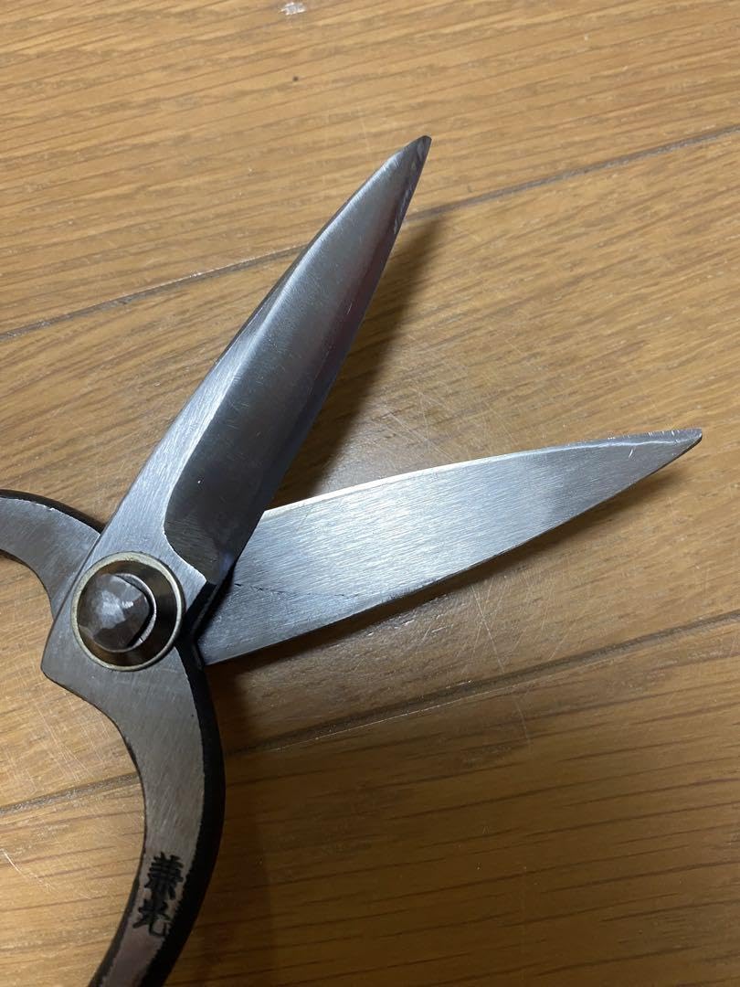Amazon.co.jp: 植木鋏 津島鋏 兼光 中サイズ : DIY・工具・ガーデン