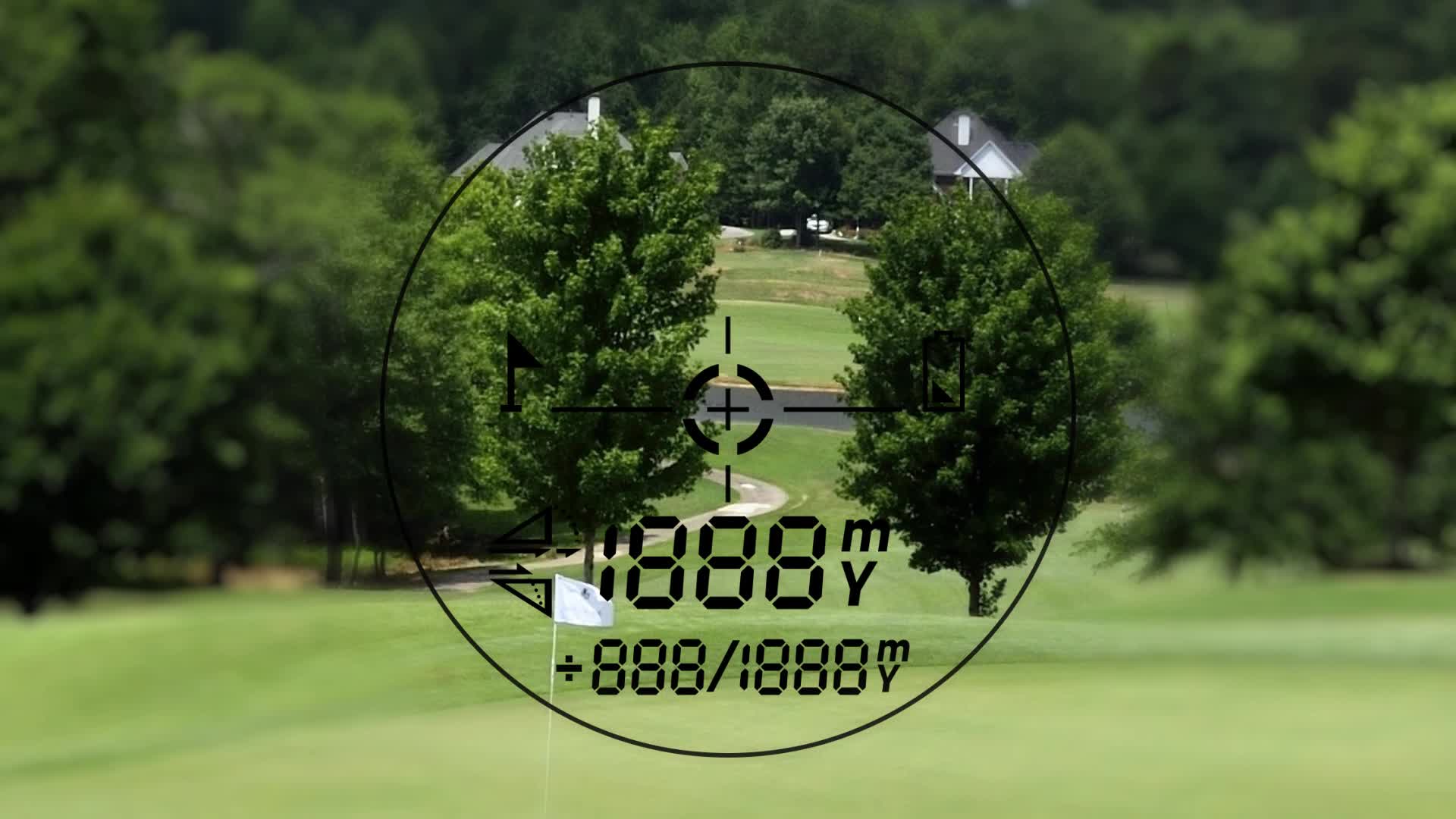 Amazon.co.jp: FineCaddie(ファインキャディ) J300 ブラウン ゴルフ用