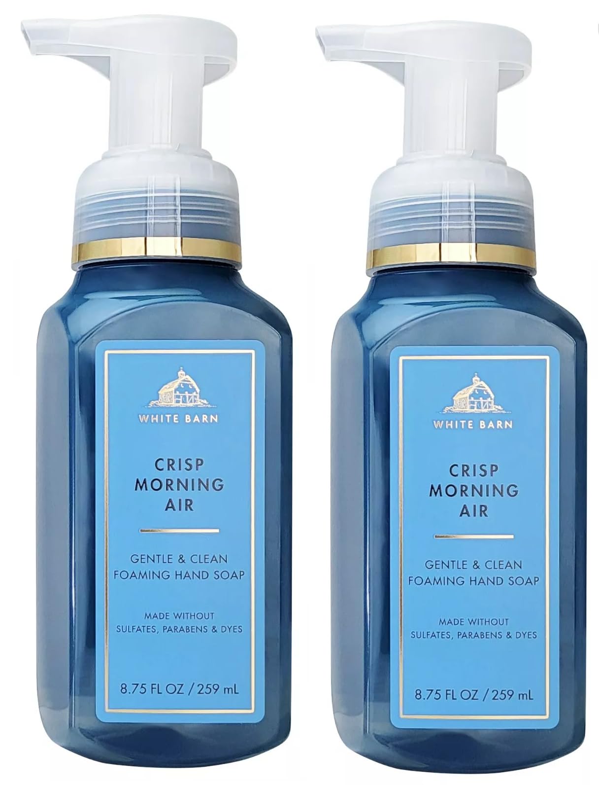 Amazon.com : Bath and Body Works 2 Pack Crisp Morning Air Gentle