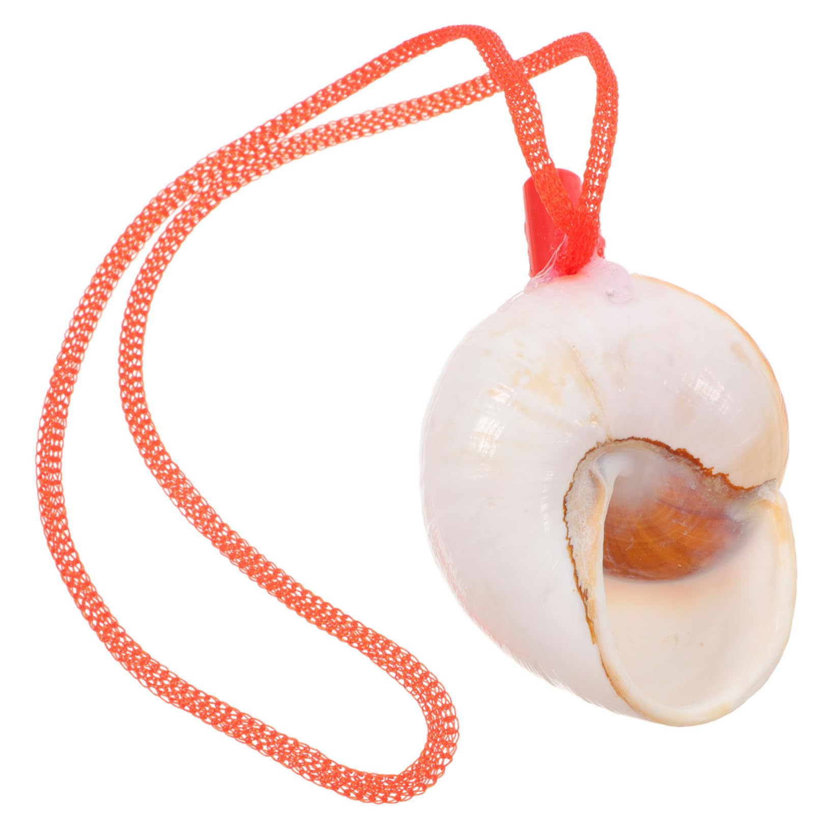 Amazon | UPKOCH 天然巻貝製大きな貝殻ホラ貝笛 音楽演奏とパーティー