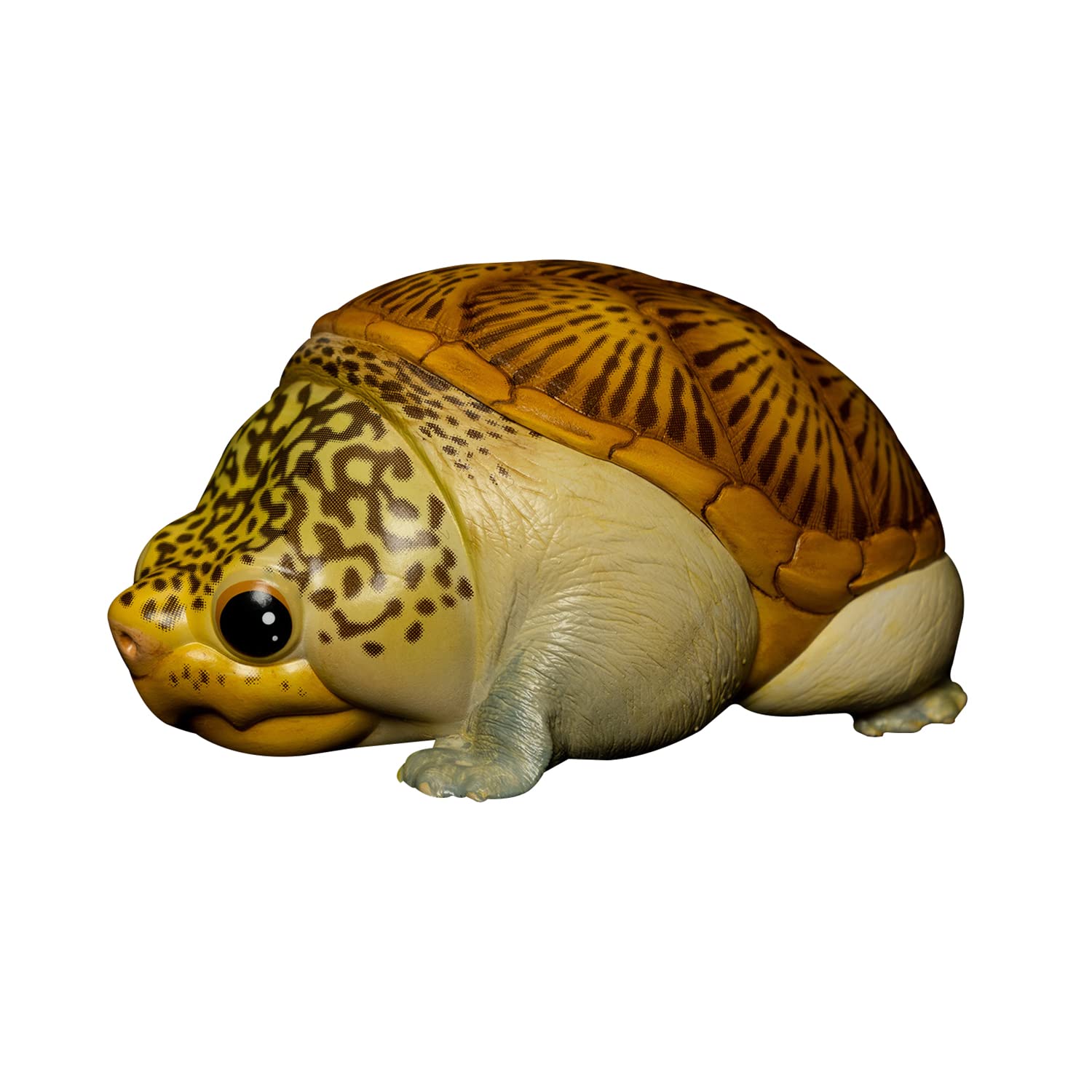 Amazon | 動物惑星 ガチャガチャ ブラインド ボックス カメ 全8種