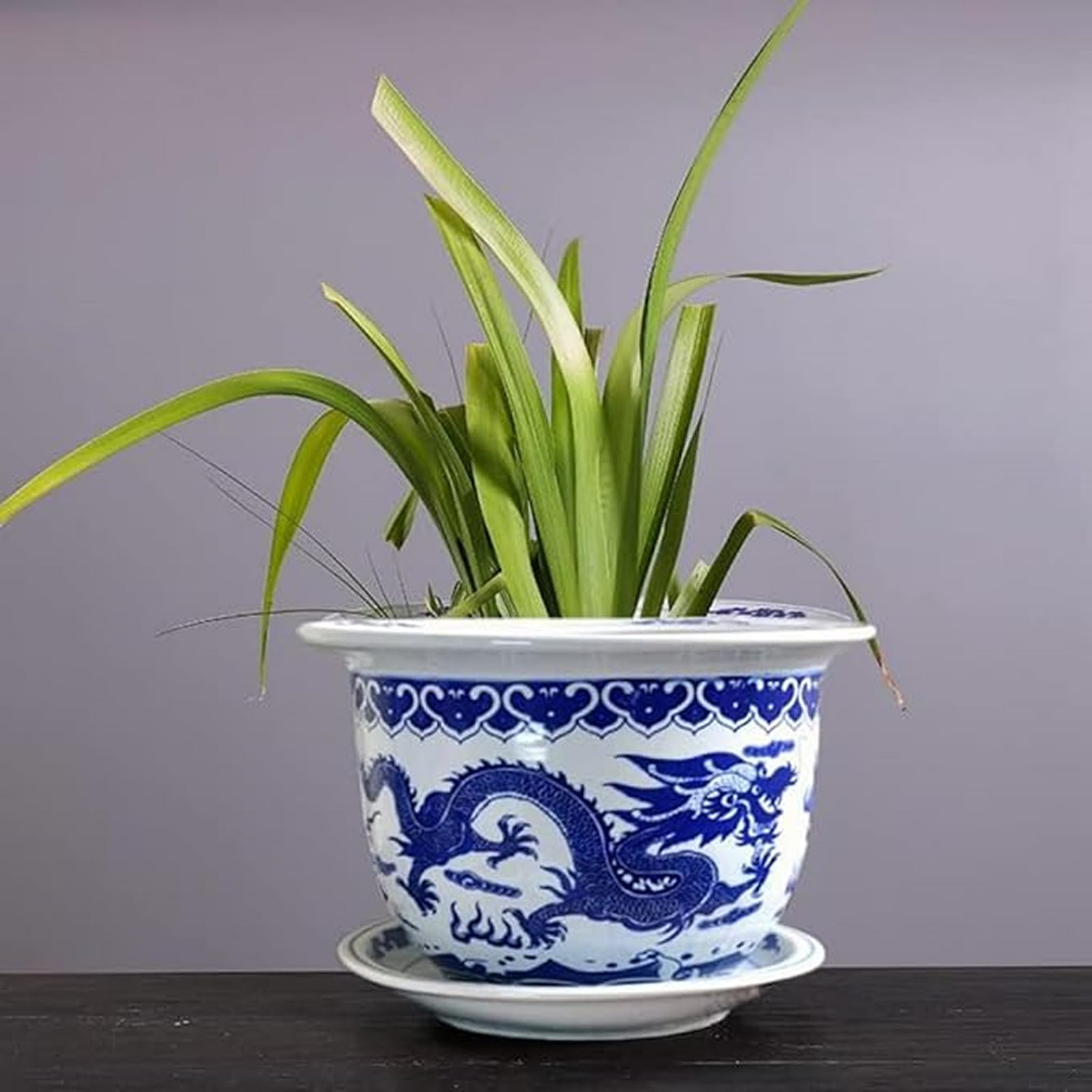 Amazon.co.jp: 植木鉢 セラミック植木鉢 陶器鉢 鉢 プランター 中国風