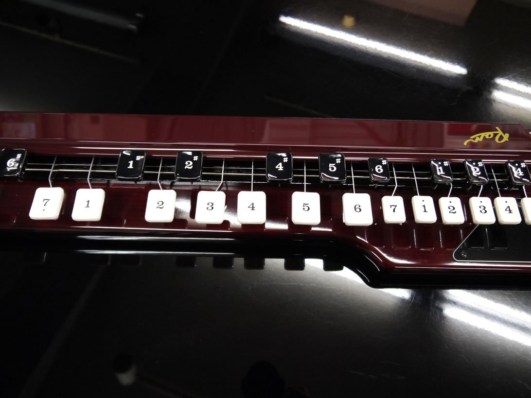 送料無料SUZUKI 【蘭(RAN)】ベース/バス 電子大正琴 Amazon | スズキ