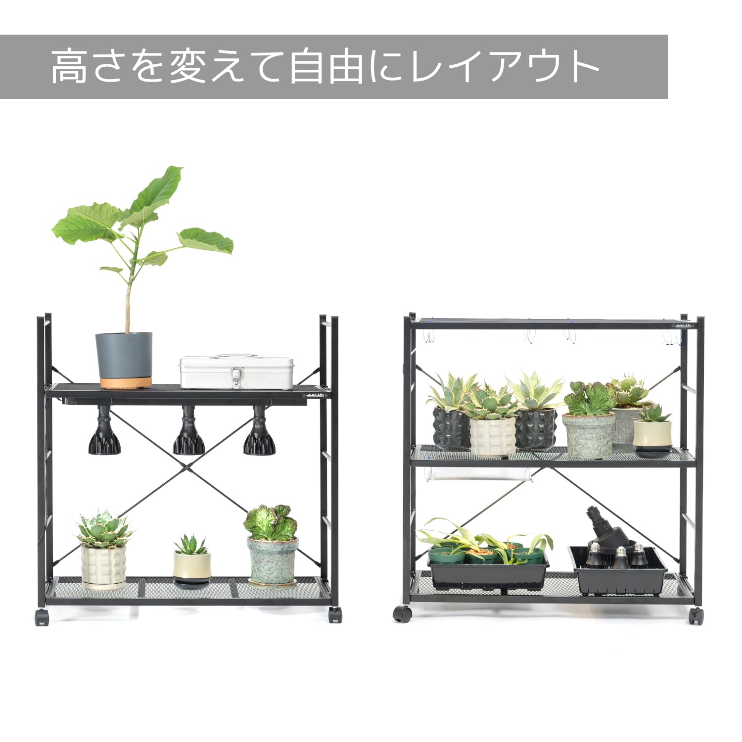 Amazon.co.jp: BIBILAB(ビビラボ) ビザールプランツラック LPR-800-BK