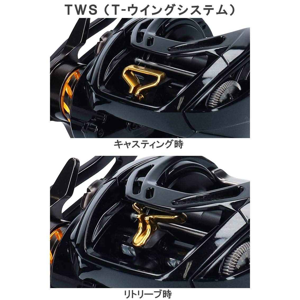 Amazon.co.jp: ダイワ(DAIWA) ベイトリール 19 モアザン PE TW 1000XH