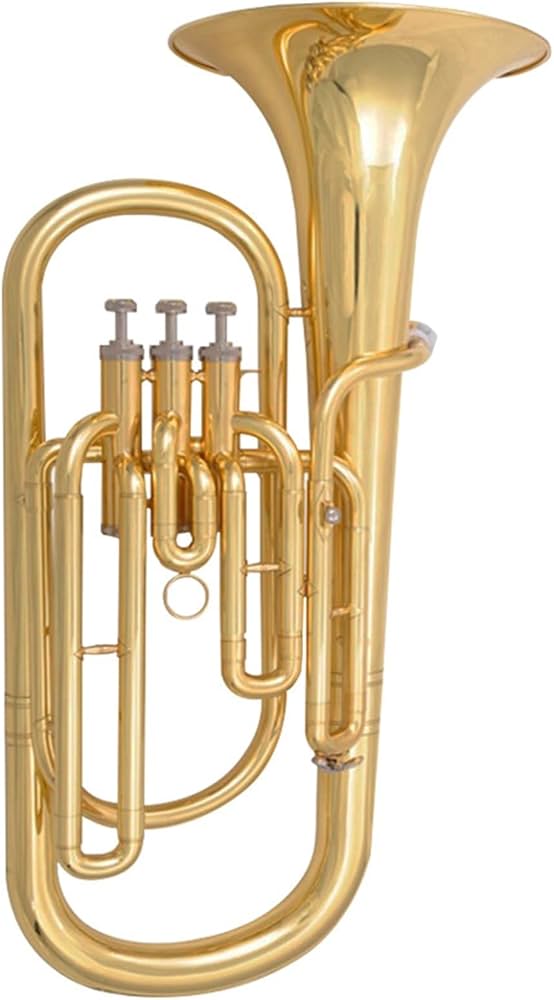 Amazon | 初心者金管楽器 学生プロフェッショナルアルトスモール