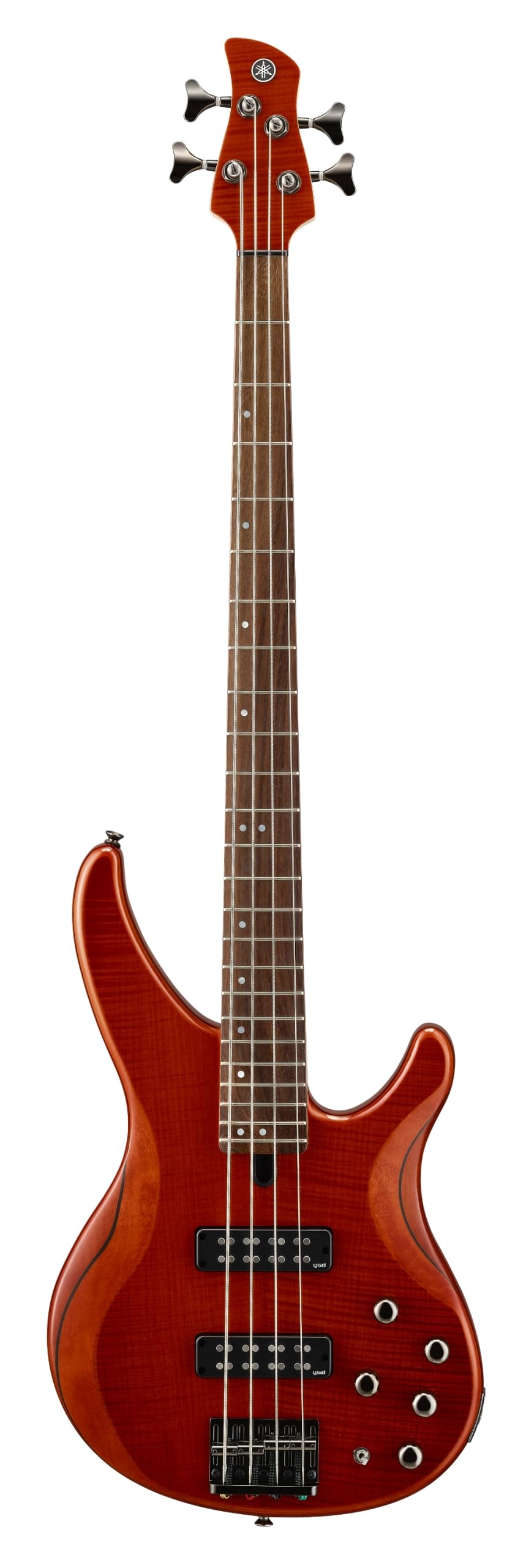 Amazon.com: Yamaha TRBX604 4-String Flamed Maple Bass Guitar
