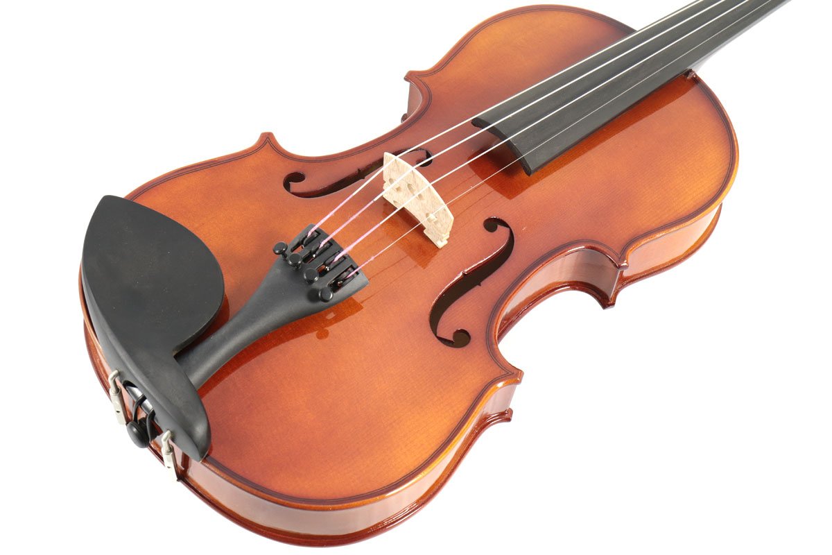 Amazon | Carlo giordano/VS-1 バイオリンセット 4/4 Violin Set