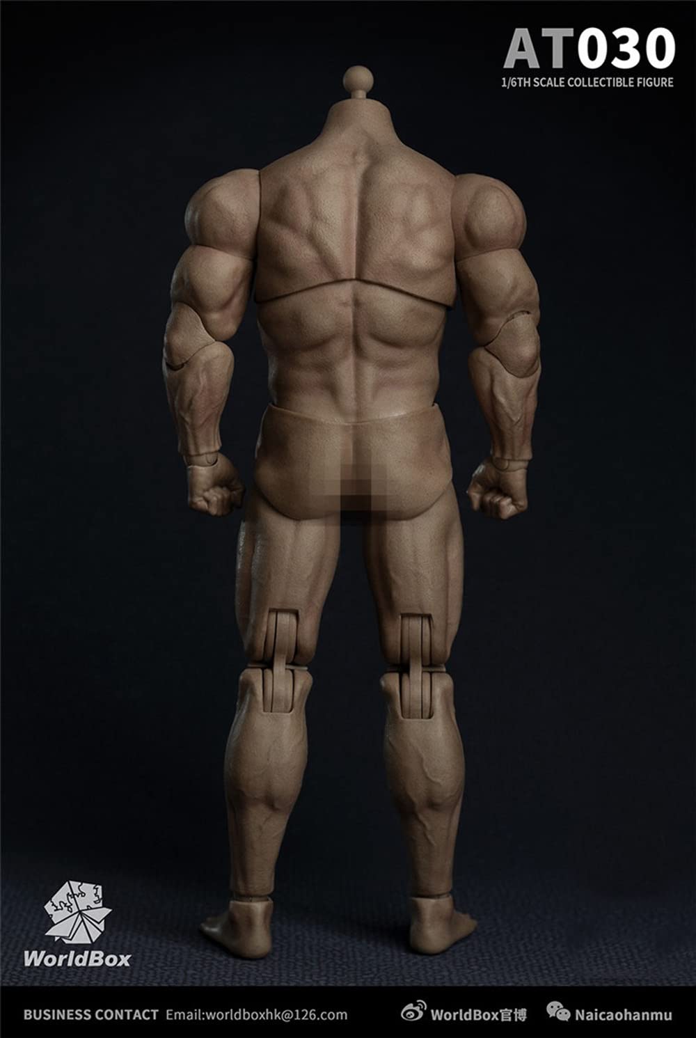 1/6【SDH016D】SUPER DUCK WorldBox TBLeague 1/6【SDH016D】SUPER