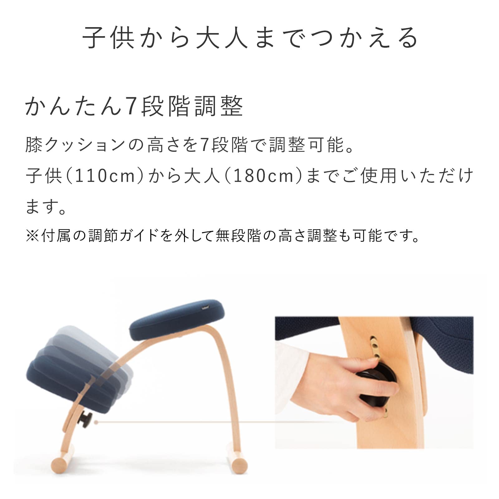 Amazon.co.jp: Balance Chair Easy Navy Balance Lab (Formerly
