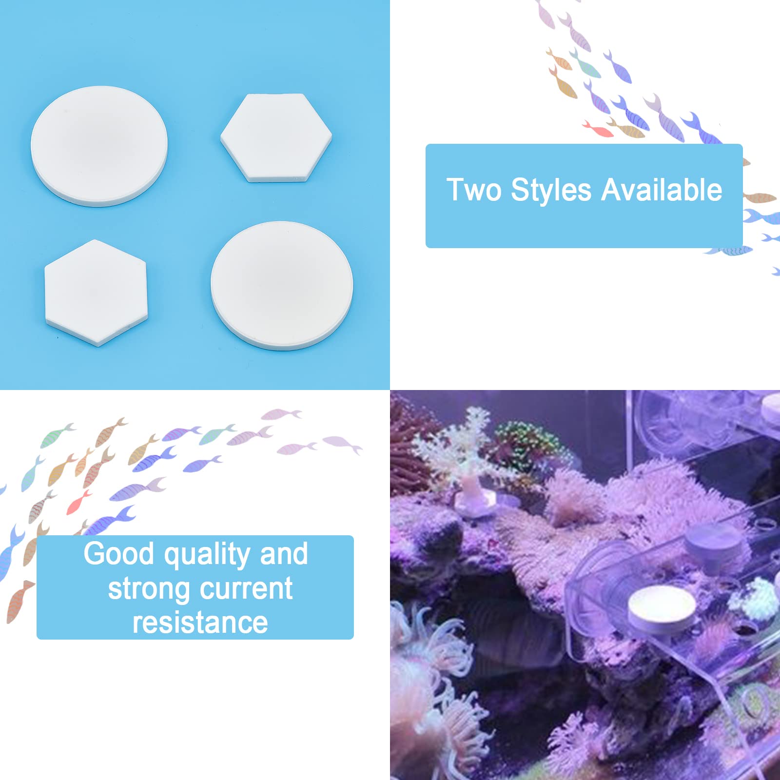 Amazon.co.jp: CHGCRAFT 12個 2スタイル サンゴフラグプレートベース