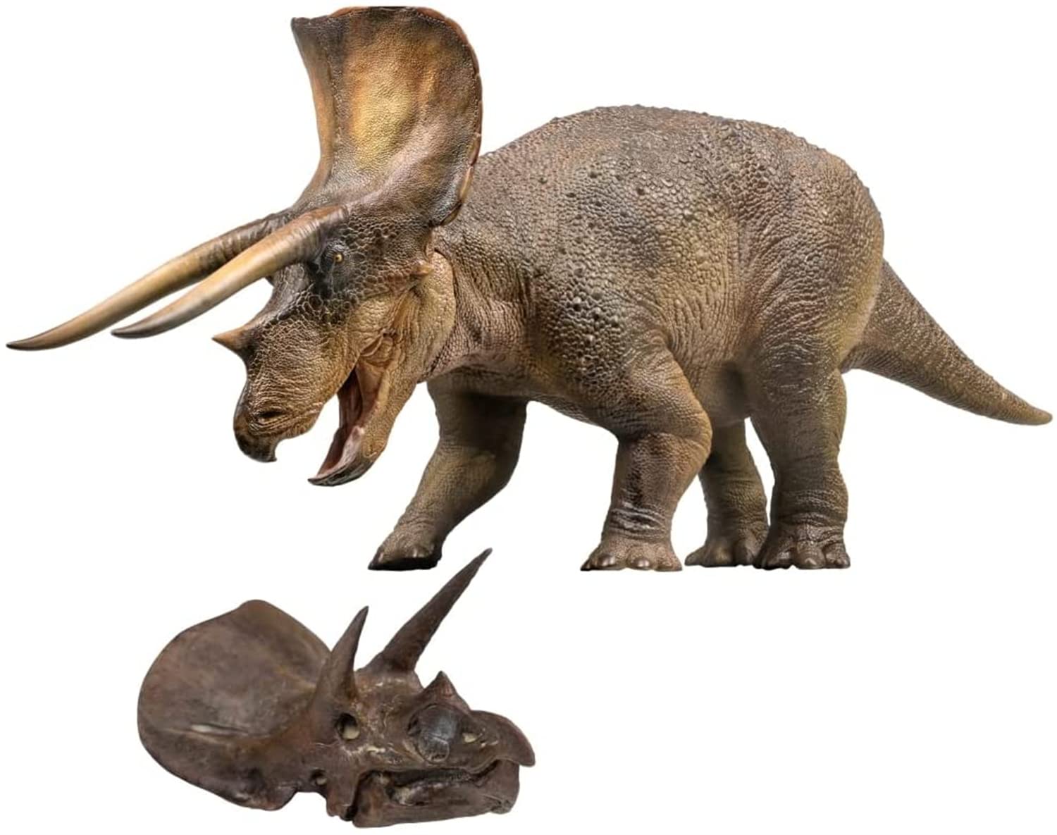 Amazon | PNSO 恐竜博物館 1/35 サイズ トリケラトプス NEW