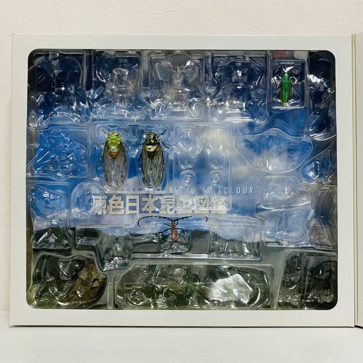 Amazon | 【美品】YUJIN ユージン 原色日本昆虫図鑑Ⅰ・Ⅱ