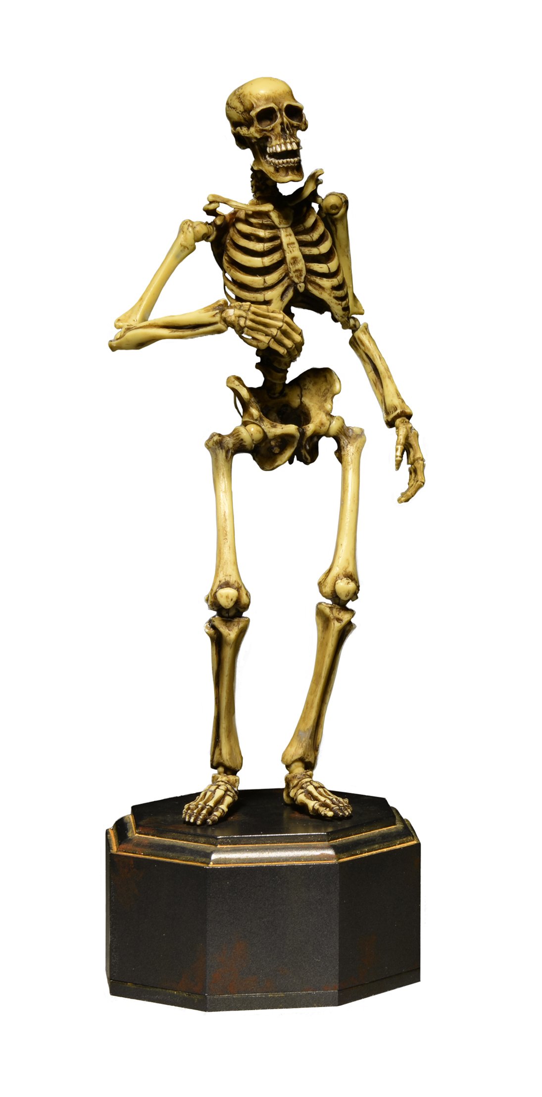 Amazon.co.jp: タケヤ式自在置物 骸骨 着彩 約150mm ABS&PVC製 塗装