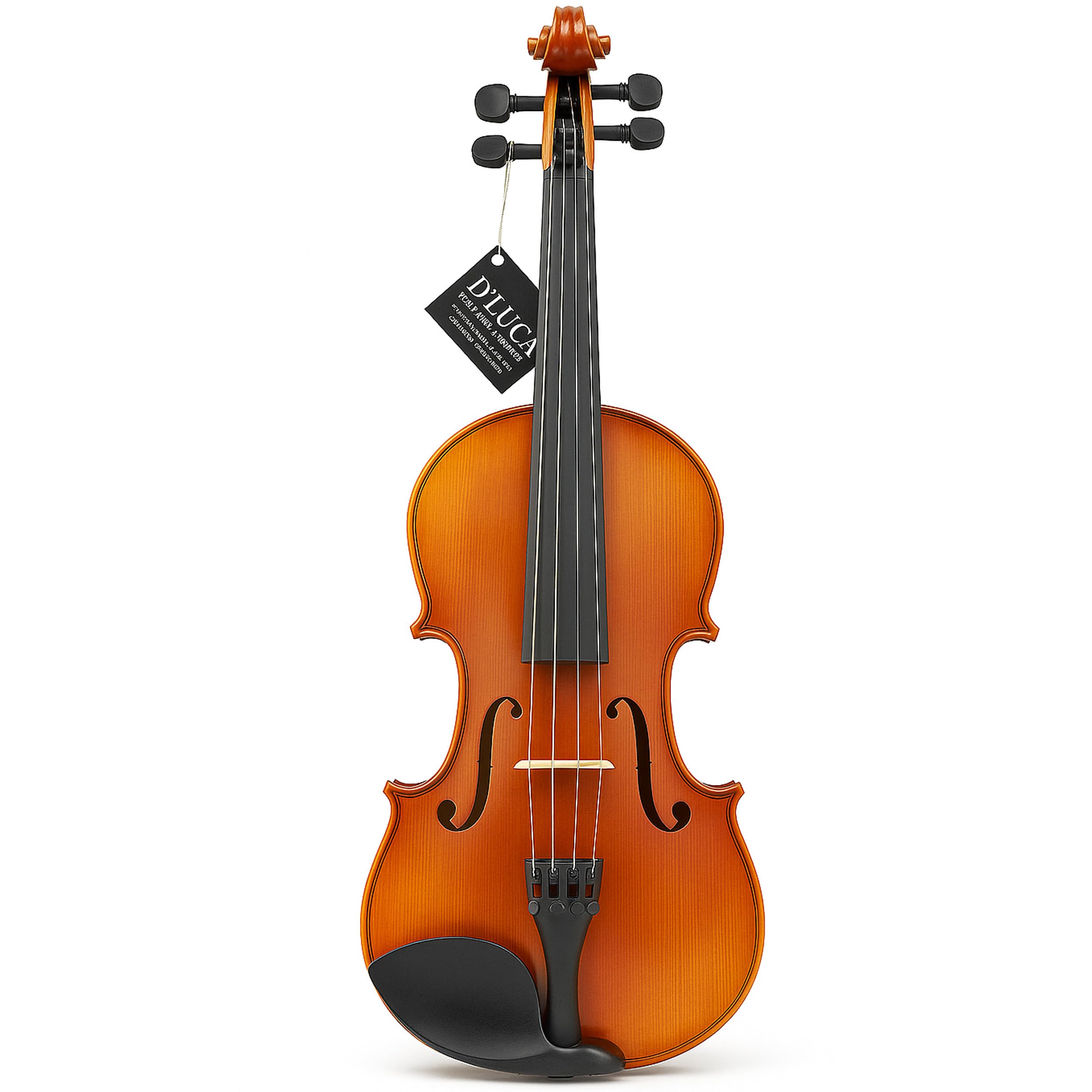 Amazon.com: D'Luca PROJBV44 Strauss Professional Violin Outfit 4/4