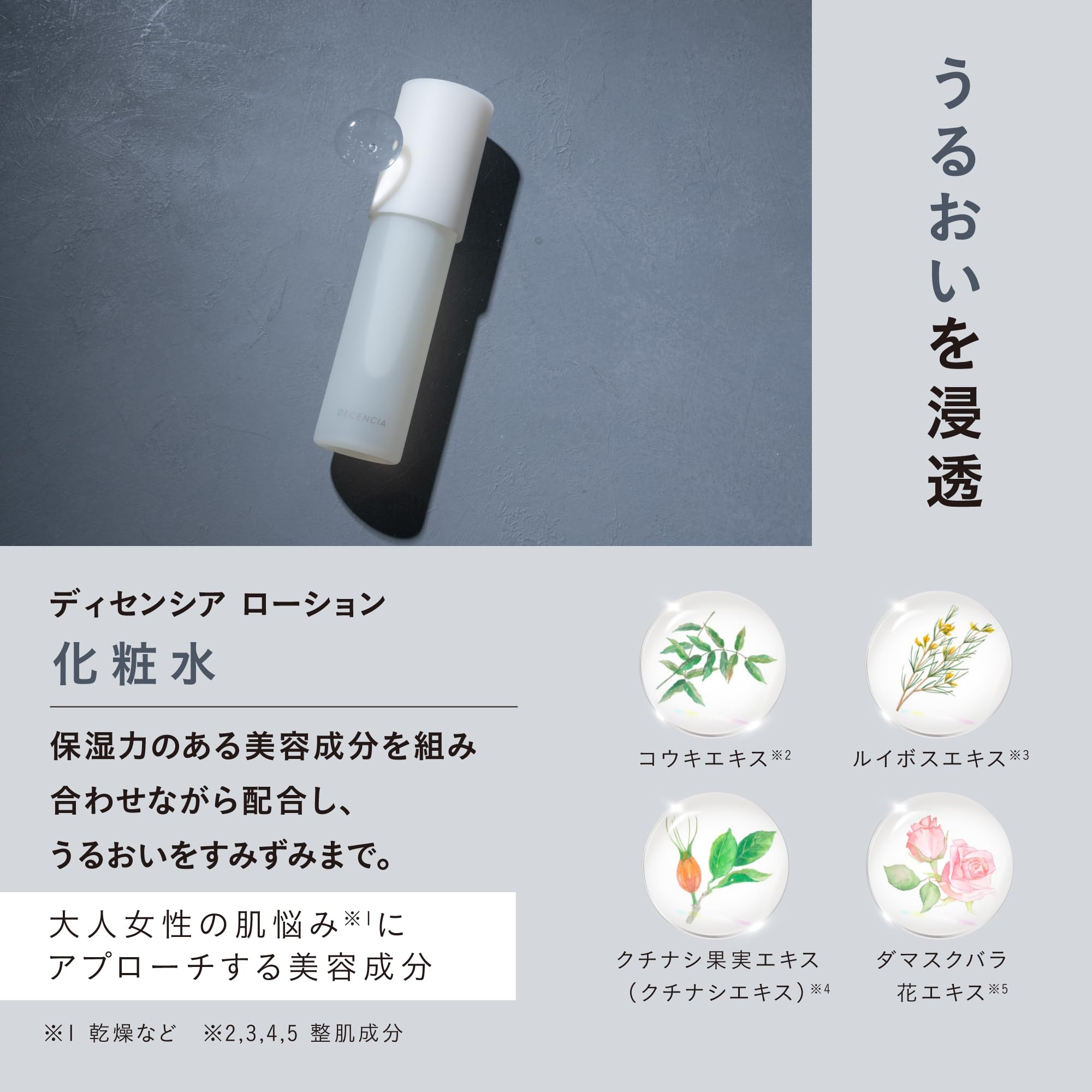 Amazon | 【Amazon.co.jp 限定】ディセンシア リンクルO／L コンセント