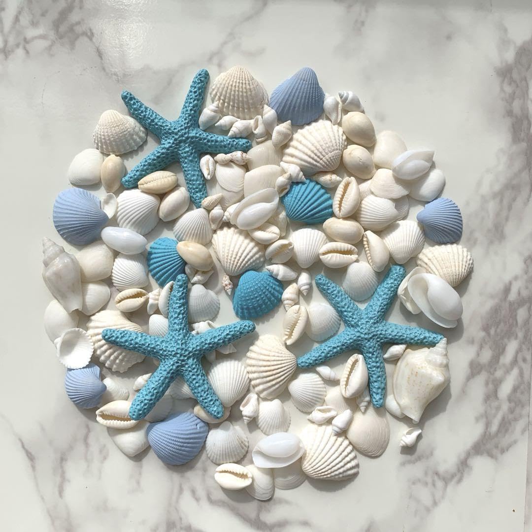 Amazon.co.jp: 貝殻 貝殻セット インテリア ハワイ ブルー 青