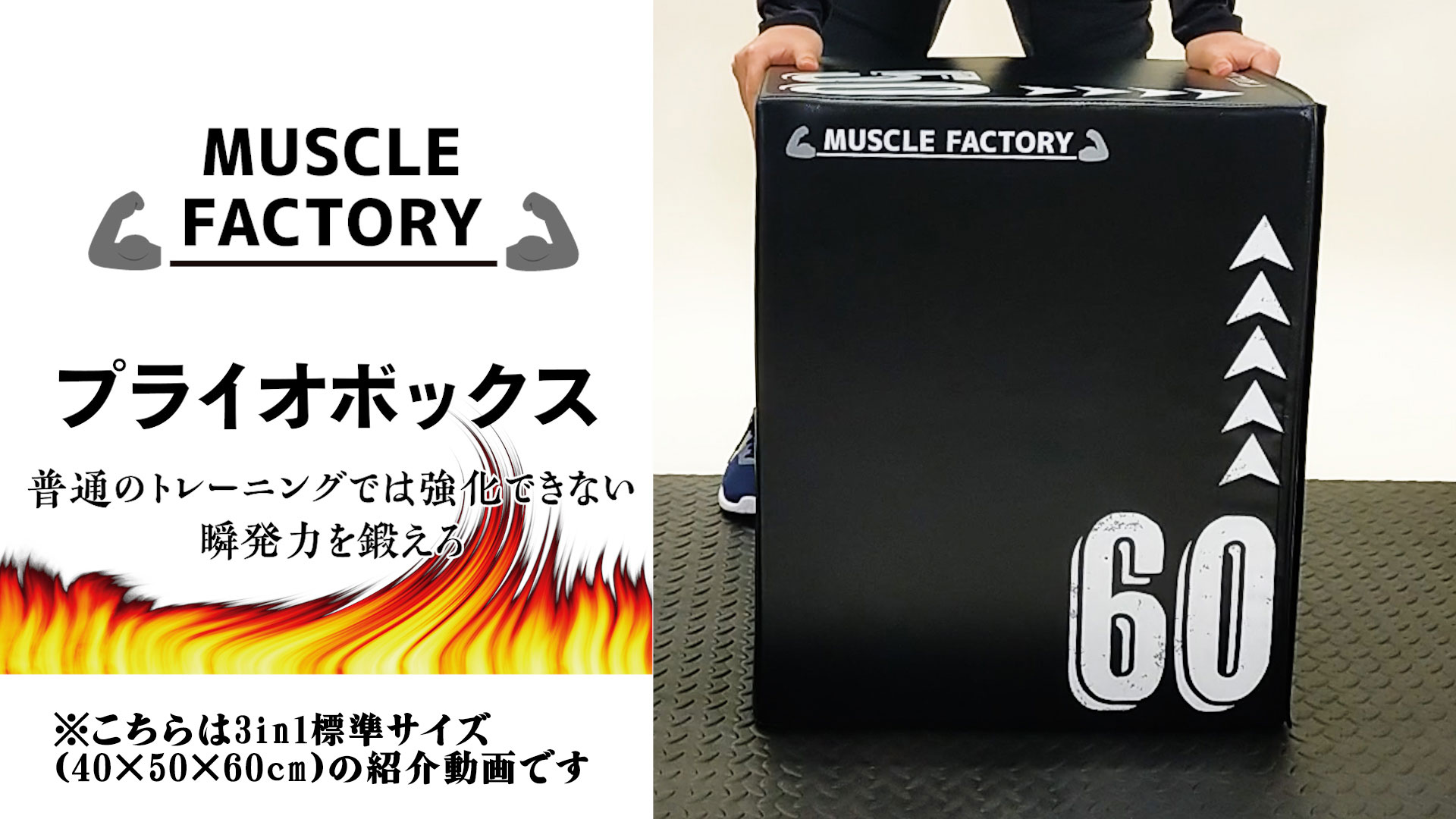 Amazon | MUSCLE FACTORY プライオボックス ソフト 30×40×50cm