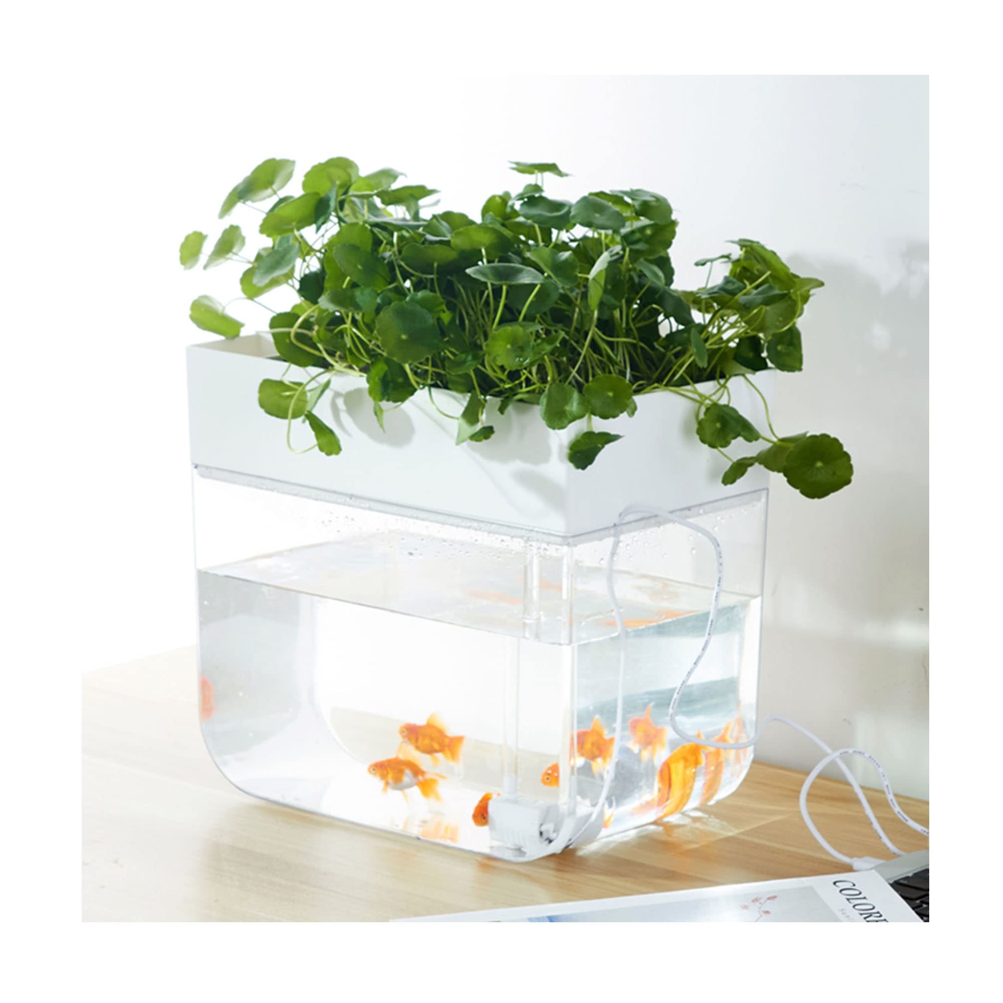 Amazon | アクアリウム アクアポニック アクアポニックス小型水槽