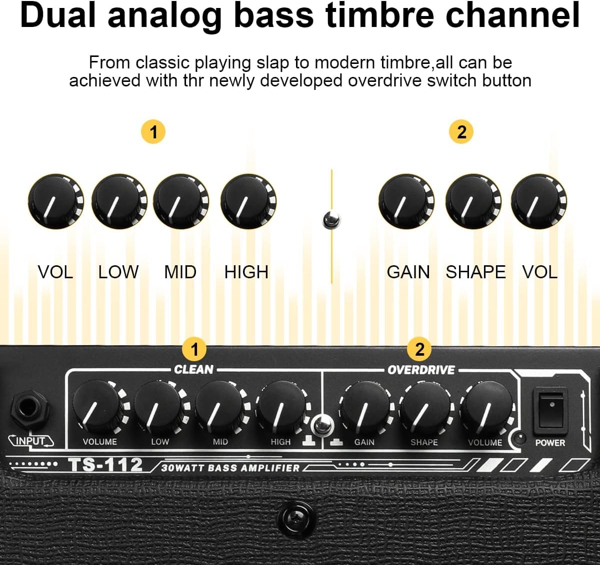 Amazon.com: TS112 Bass Guitar Amp 30W Electric Guitar Bass Combo