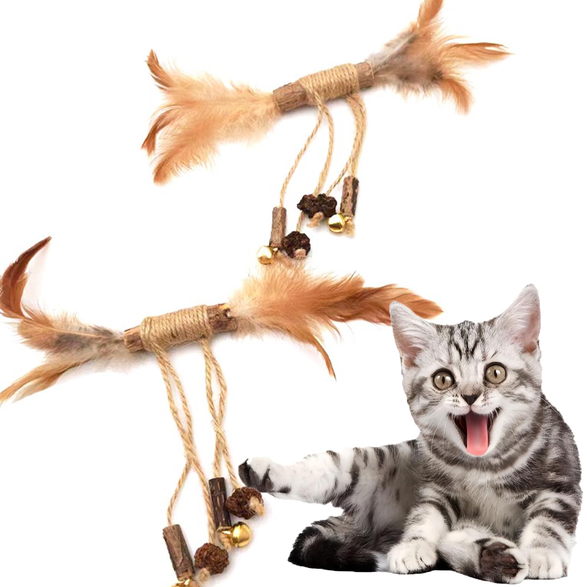 Amazon | ULcomlife 天然マタタビ リボン型またたび 猫用おもちゃ 虫瘿