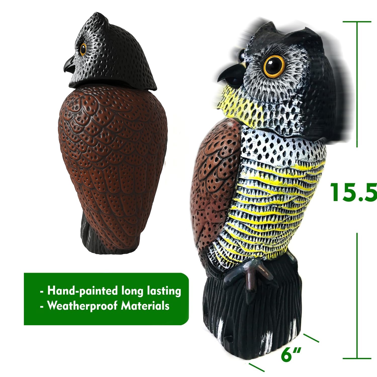 Amazon.com : GiftExpress 16