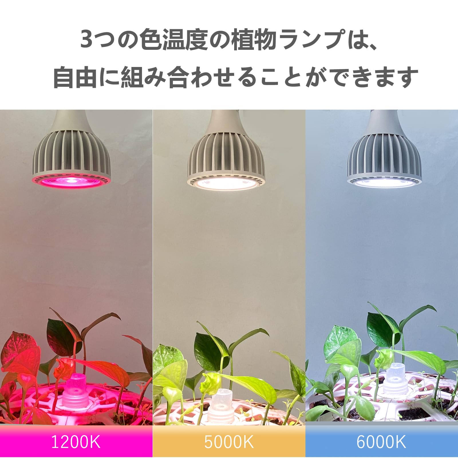 Amazon.co.jp: Hipargero植物育成ライトHG-A 20W E26口金 フル