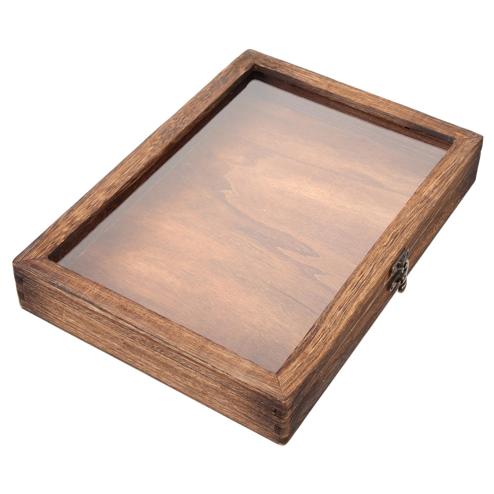 Amazon.co.jp: TOYMYTOY 木製昆虫展示ケース 12×8.7×1.7インチ 透明