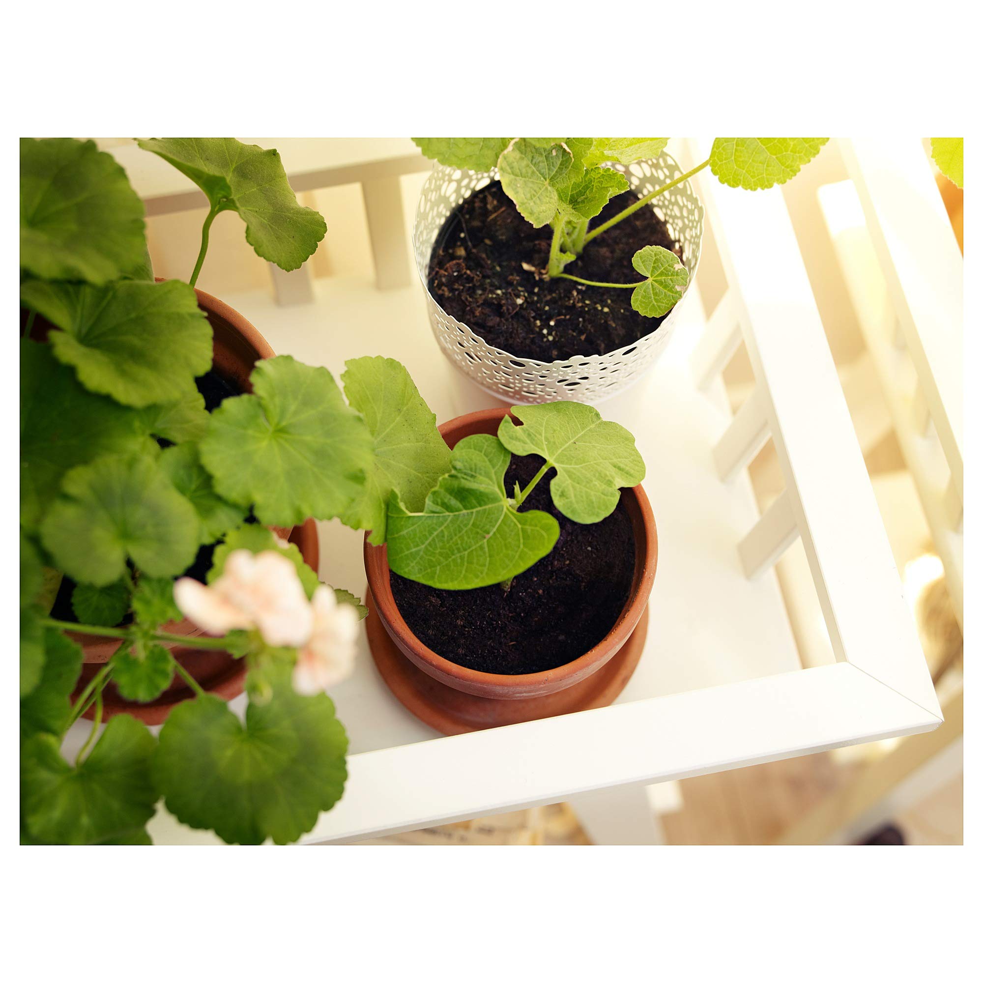 Ikea LANTLIV Flower Stand 68 cm White : Amazon.com.be: Garden