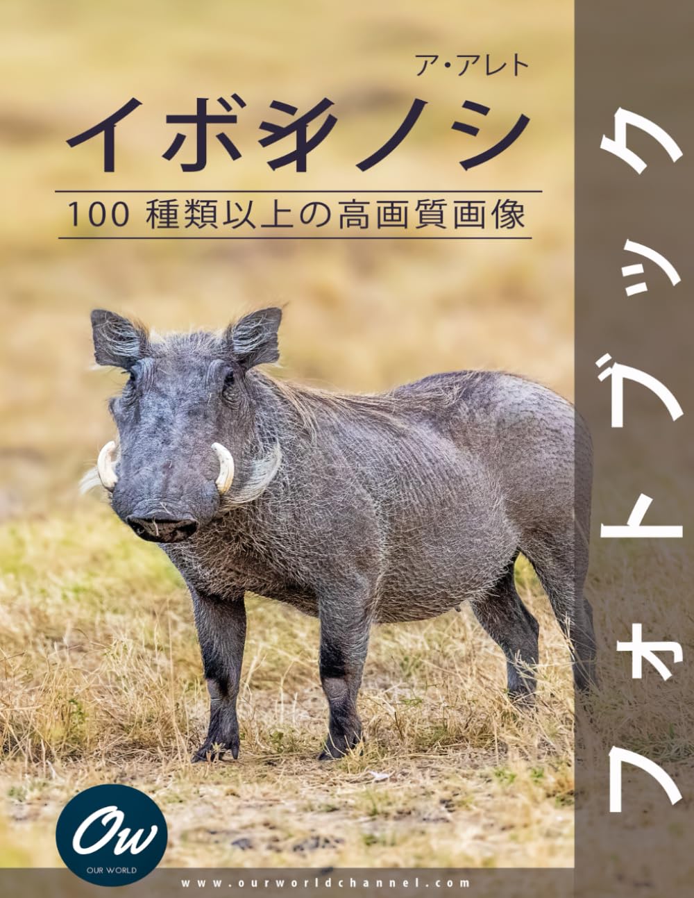 イボイノシシ: フォトブック : 100 種類以上の高画質画像 | わたしたち