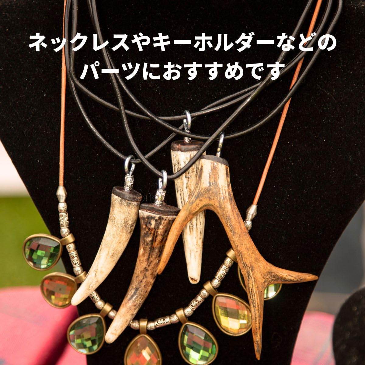 Amazon.co.jp: 鹿の角 エゾシカ 角 先端詰合わせ 1kg 端材