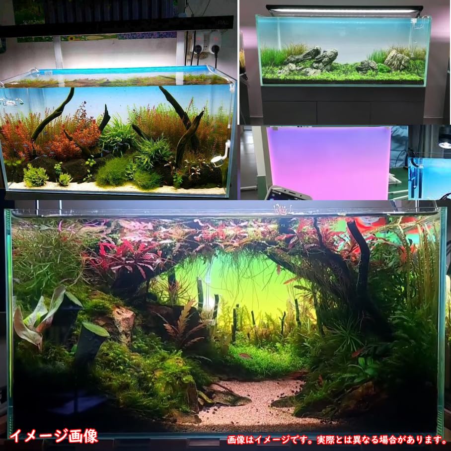 Amazon.co.jp: 水槽 WRGBバックライトスクリーン アクアリウム LED