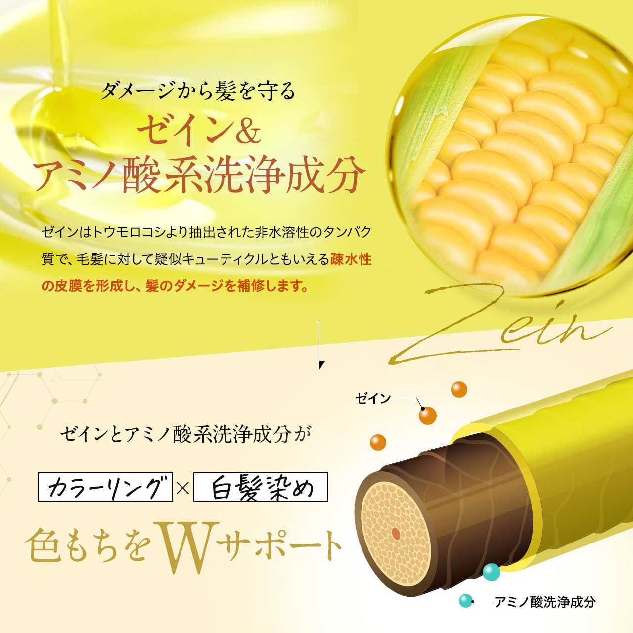 Amazon | 【毛髪診断士推奨】ハディエント 炭酸シャンプー