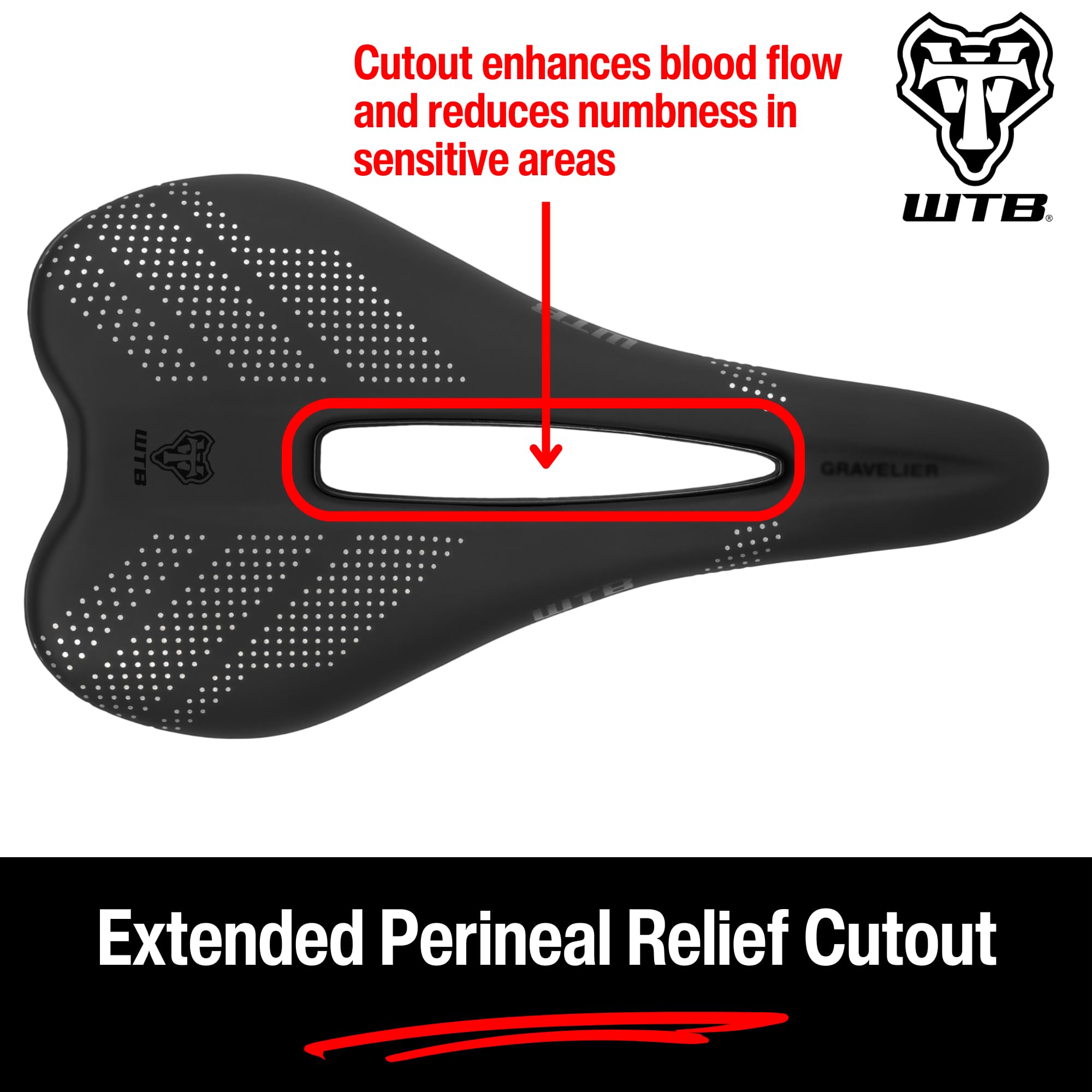 Amazon | WTB グラベリアバイクサドル – 246 x 140mm、フュージョン