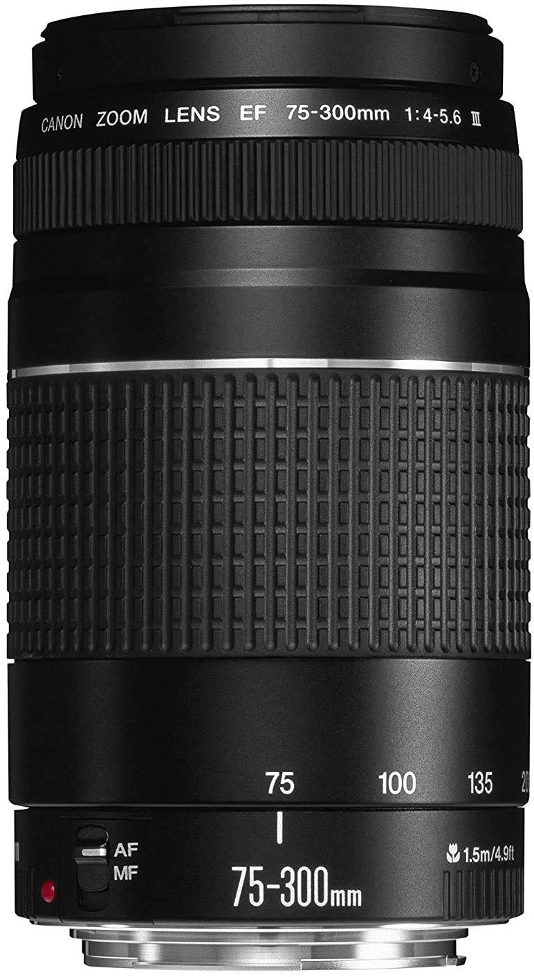 Amazon.com : Canon EF 75-300mm f/4-5.6 III Telephoto Zoom Lens for