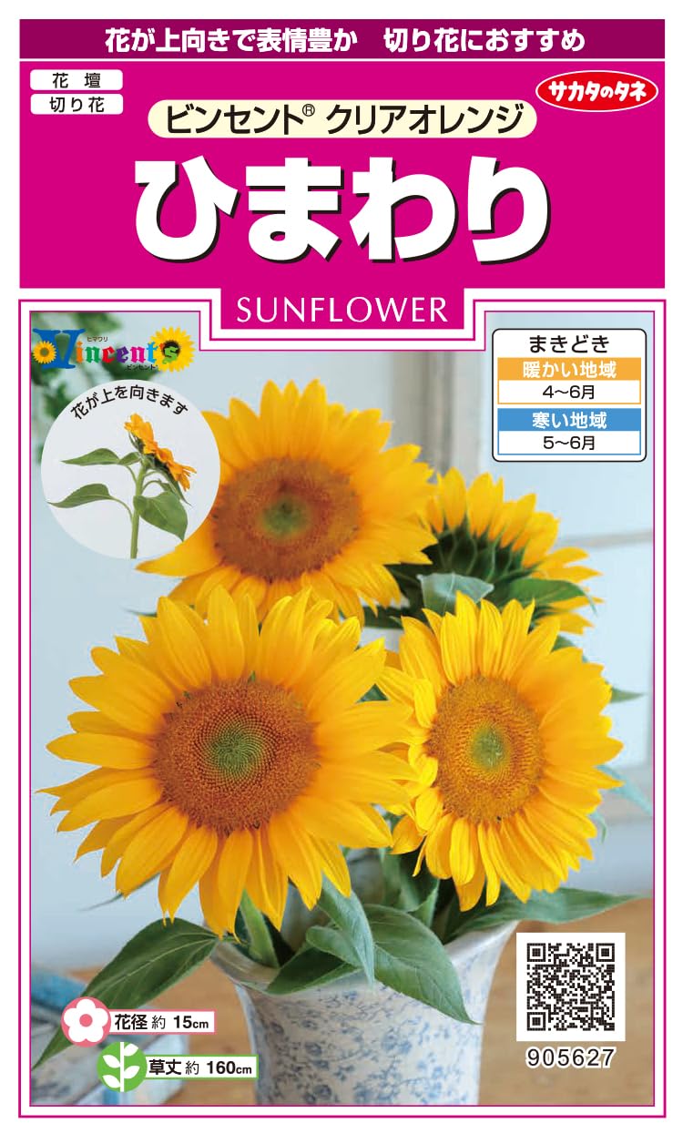 Amazon | サカタのタネ 実咲花5627 ひまわり ビンセント クリア