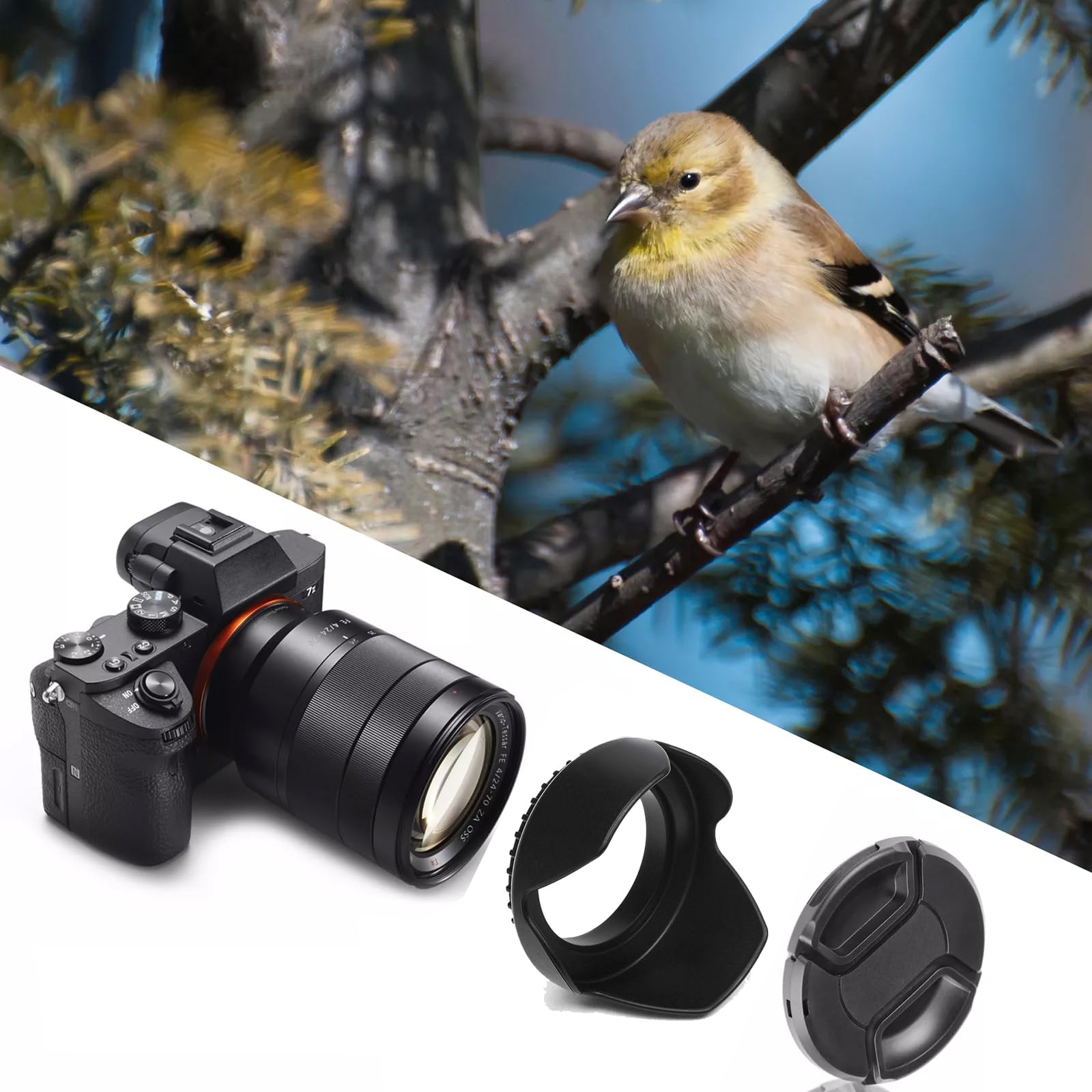 Amazon | レンズフード (シェード) Canon EF-S 18-135mm f/3.5-5.6と