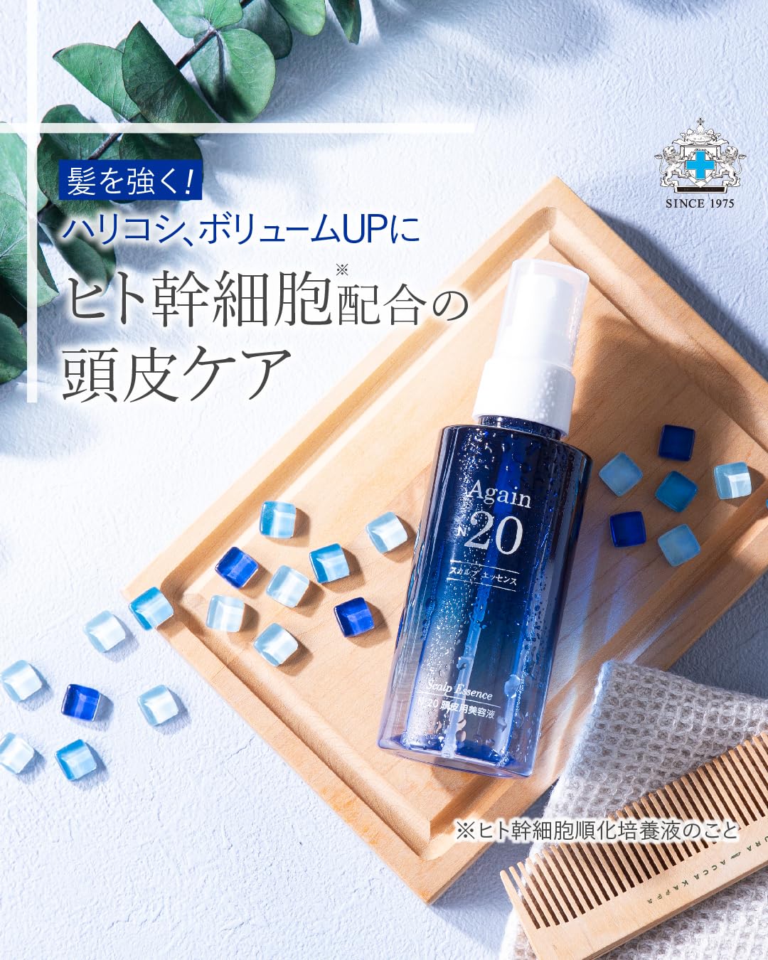 Amazon | 日本メディカルシステム アゲインナンバー20 スカルプ