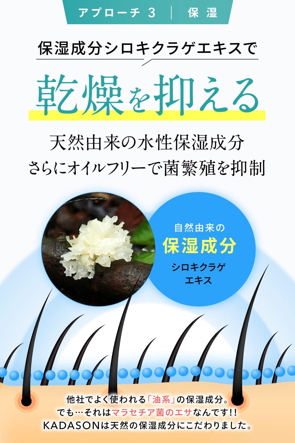 Amazon | ［医薬部外品］カダソン薬用スカルプトリートメント詰替用