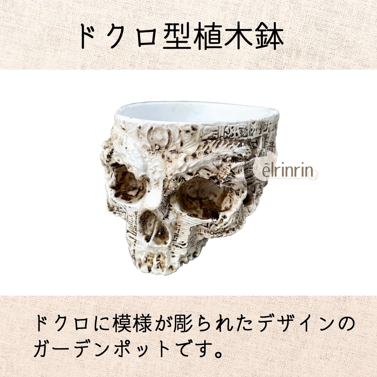 Amazon.co.jp: ドクロ スカル ガーデンポット 小物入れ 植木鉢