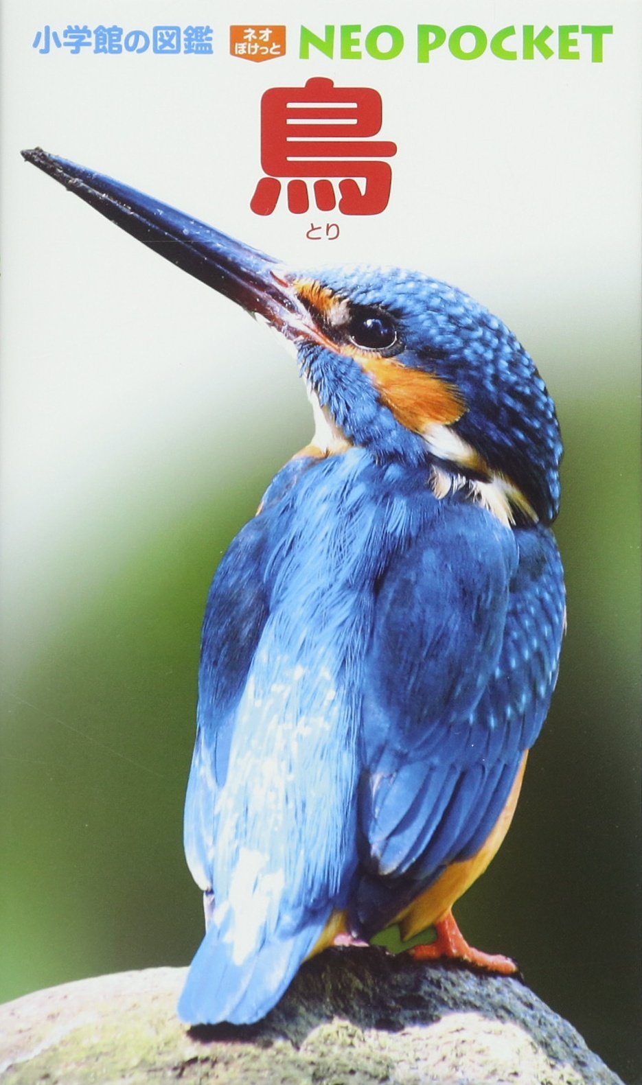 鳥 (小学館の図鑑 NEOポケット) | 柚木 修, 上田 恵介, 水谷 高英 |本