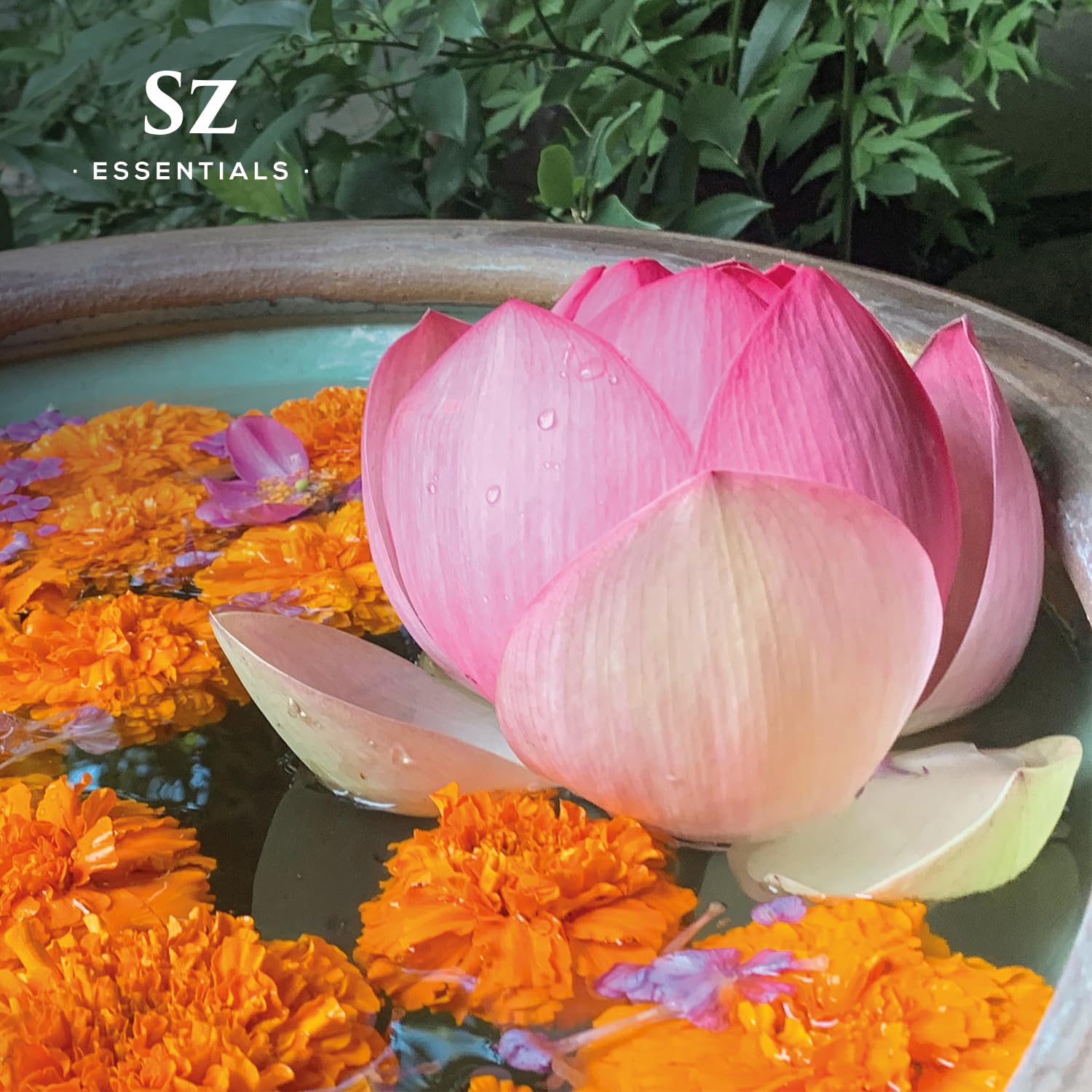 Amazon.com: Sz Essentials - Pink Lotus 100% Pure, Essential