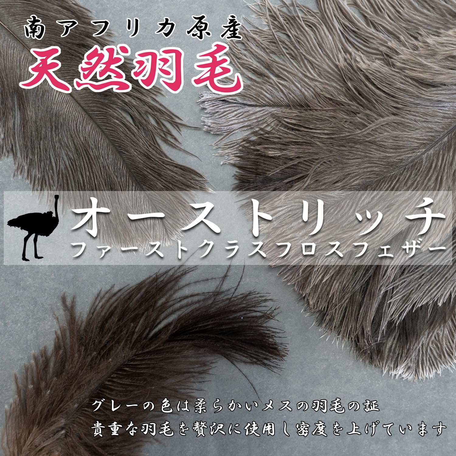 Amazon | ESCI 【日本製】 最高級の手造り毛ばたき! 「ファースト