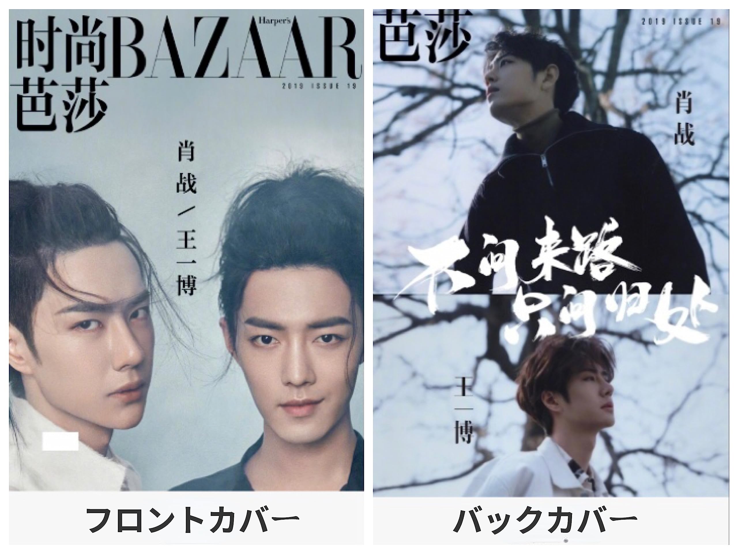 Amazon.co.jp: 月見竹取 博君一肖 陳情令 王一博&肖戦 ワンイーボー