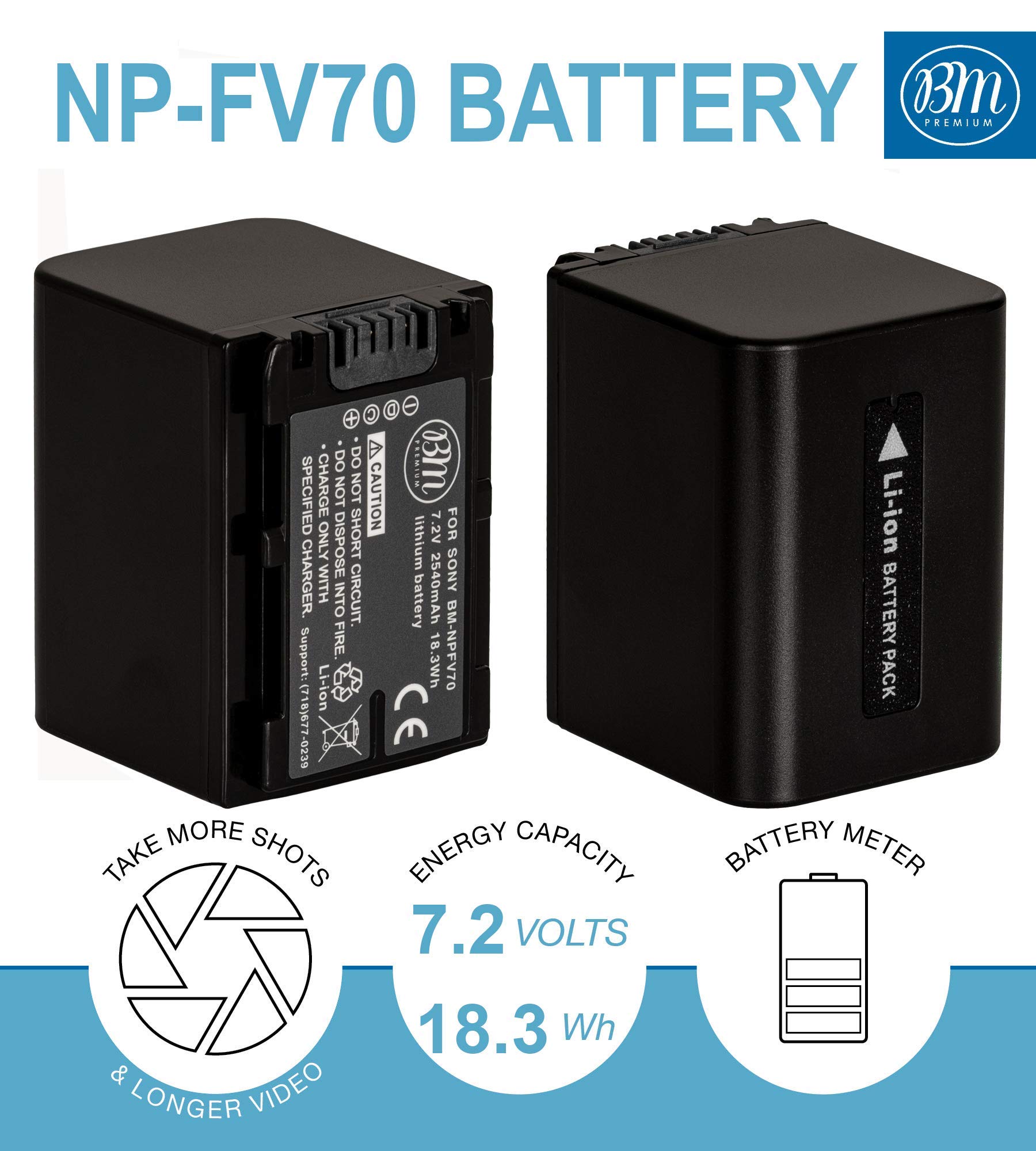 Amazon.com : BM NP-FV70 Battery and Charger for Sony FDR-AX700