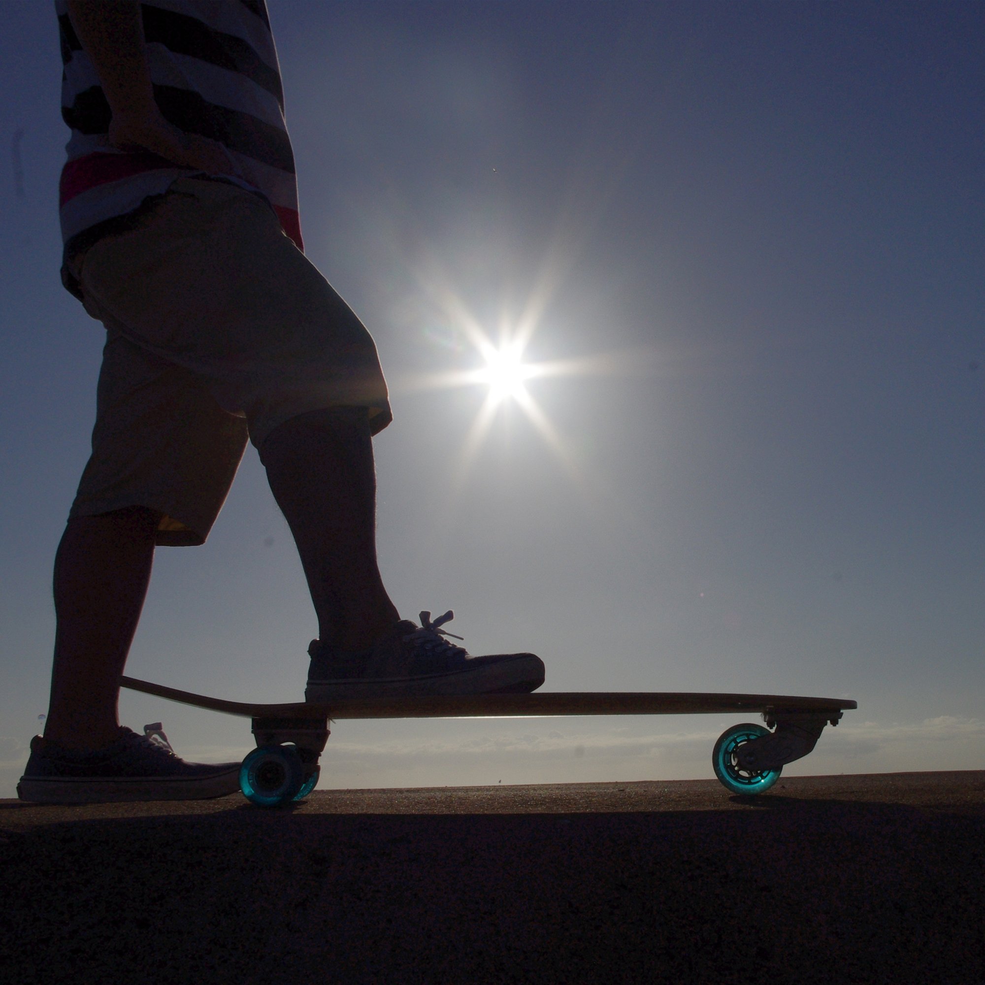 Amazon | TRY WHEEL(トライウィール) FISH 32